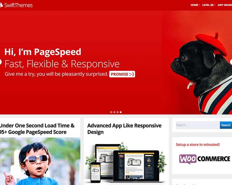 PageSpeed