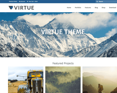 Virtue Theme